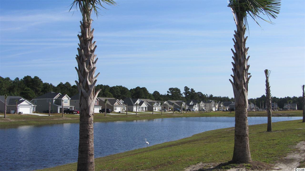 360 Whipple Run Loop Myrtle Beach, SC 29588 - Photo 6 of 9 Gallery Image 6