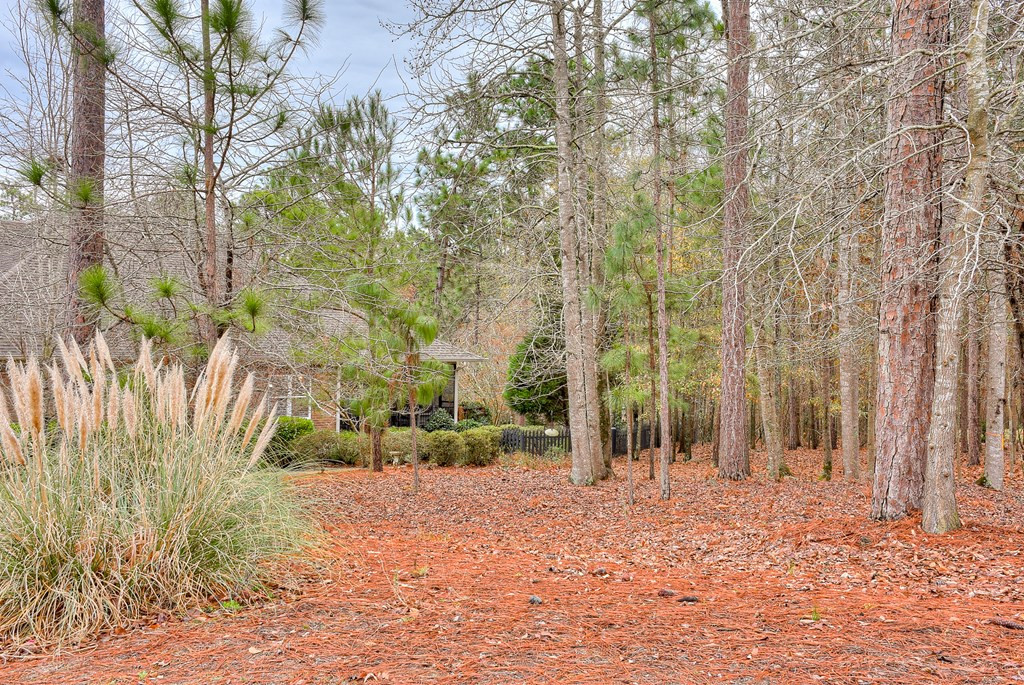 408 Forest Ridge Drive Aiken, SC 29803 - Photo 41 of 41 Gallery Image 41