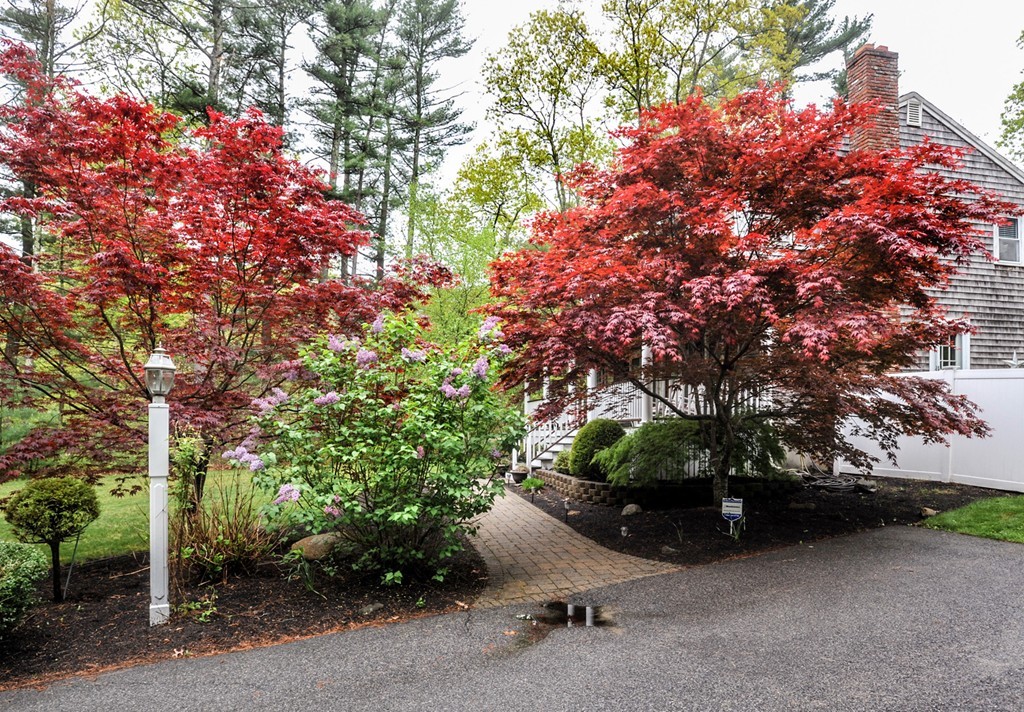 4 Long Hill Road Pembroke, MA 02359 - Photo 26 of 29 Gallery Image 26