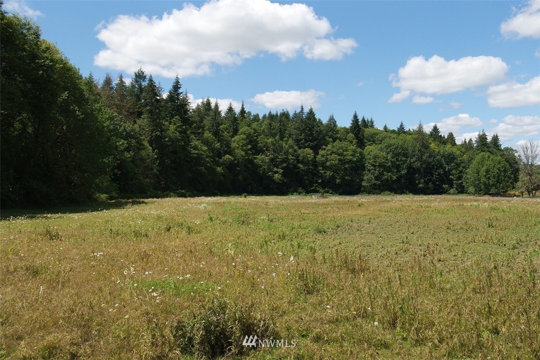 -xxx Ramsaur Road Centralia, WA 98531 - Photo 3 of 24 Gallery Image 3