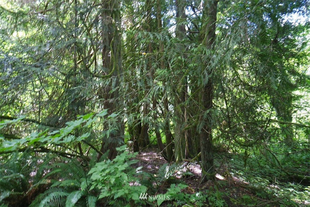 -xxx Ramsaur Road Centralia, WA 98531 - Photo 22 of 24 Gallery Image 22