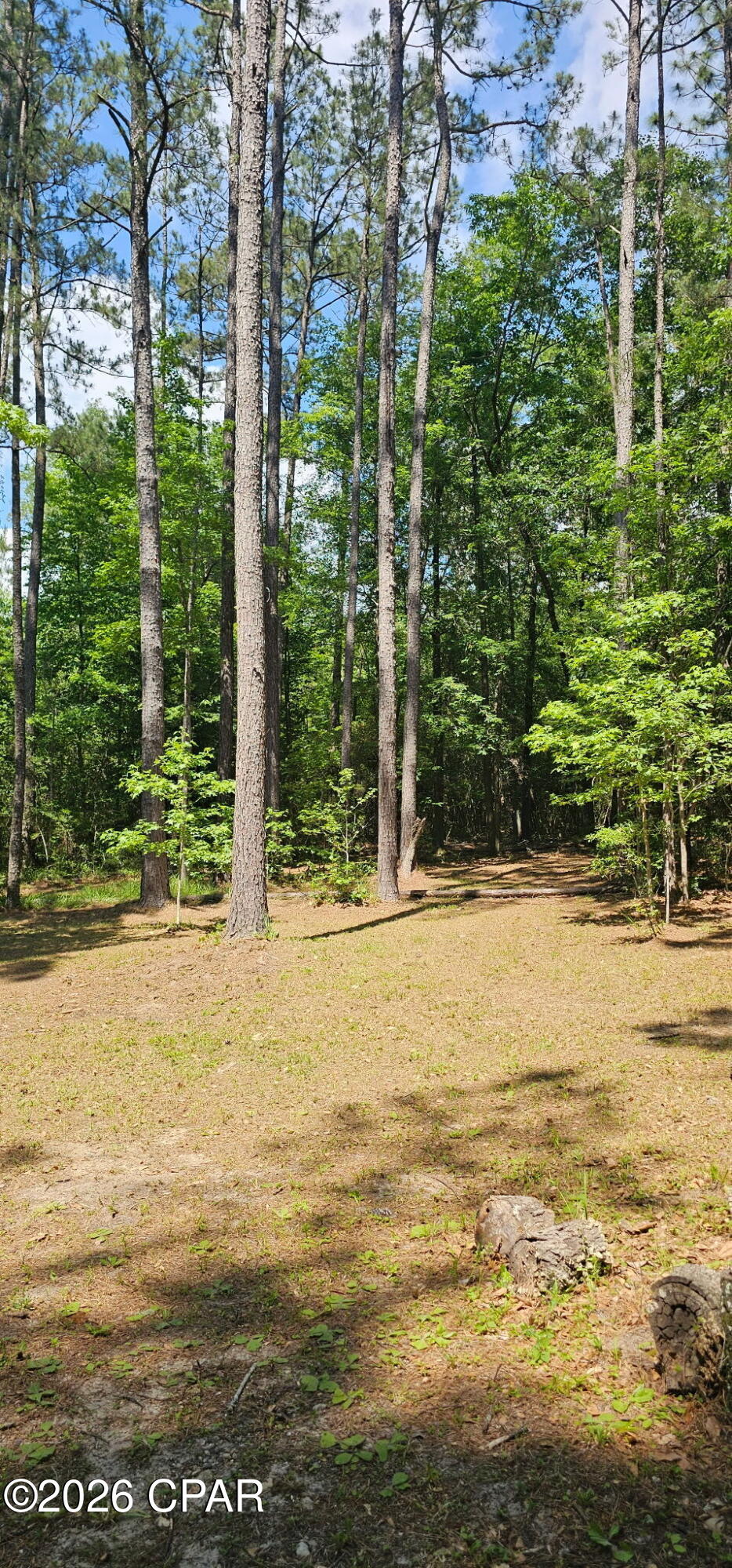 3022 Bob Sikes Road DeFuniak Springs, FL 32435 - Photo 15 of 18 Gallery Image 15