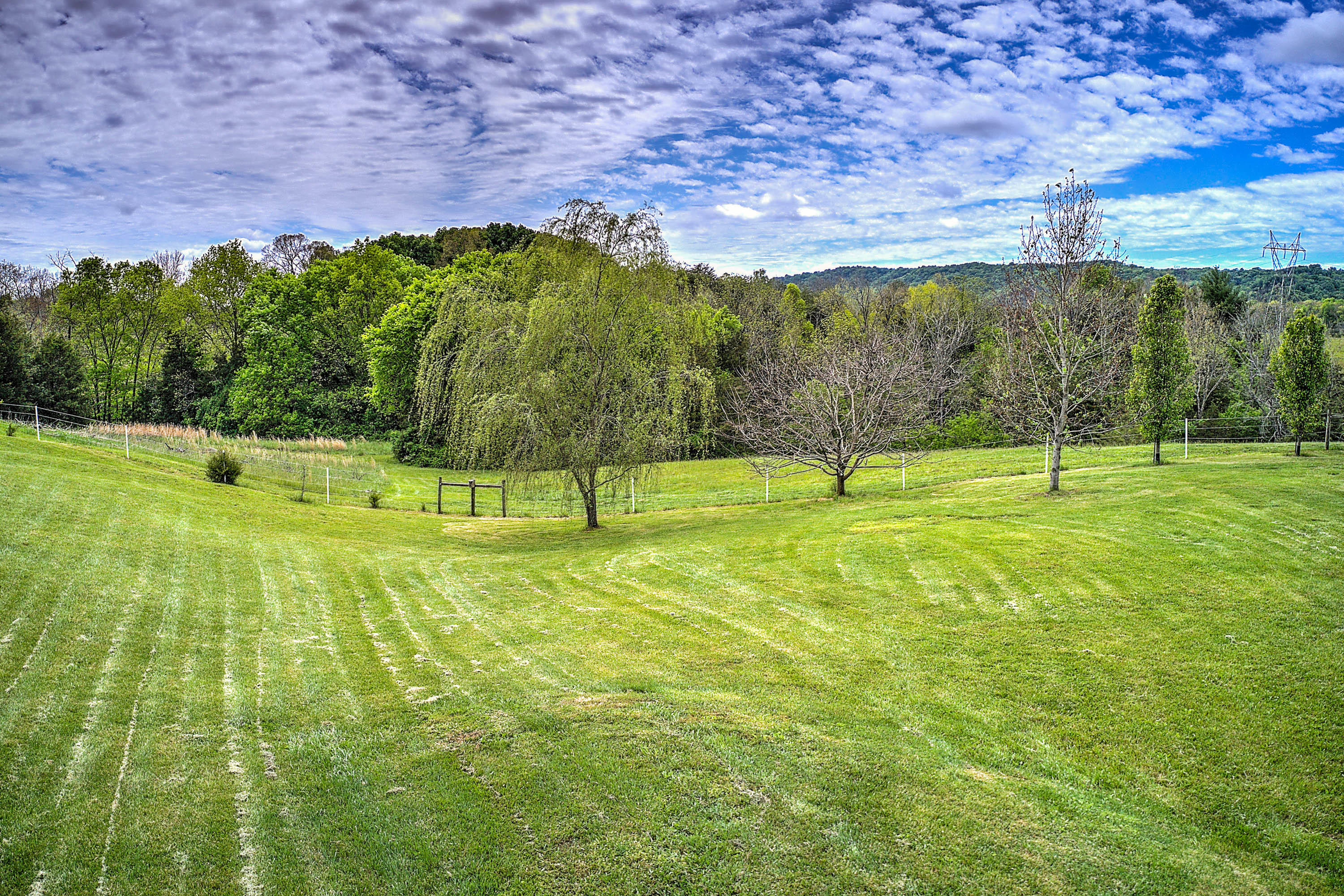 545 Goodman Loop Mosheim, TN 37818 - Photo 89 of 97 545 Goodman Lp-25