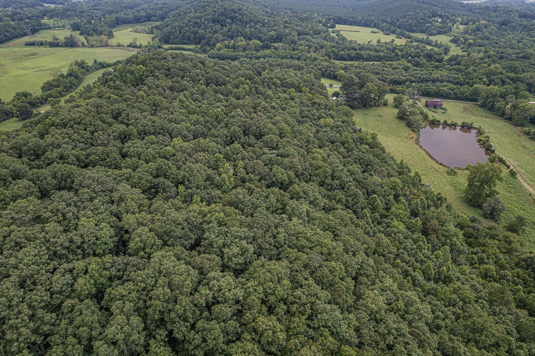 0 Jordan Road Decatur, TN 37322 - Photo 8 of 12