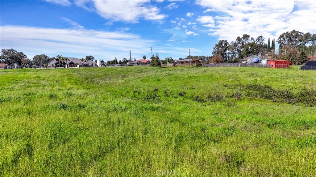 9999 Anaconda Road Madera, CA 93636 - Photo 17 of 21 a view of yard with swimming pool and trees in the background
