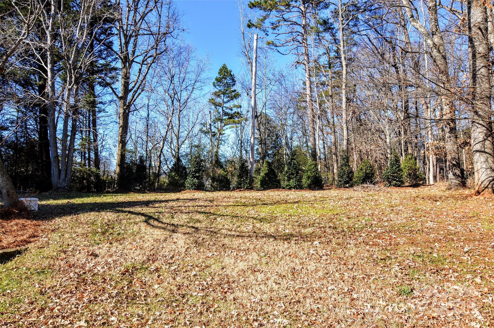 125 Eaglecrest Drive Matthews, NC 28104 - Photo 24 of 28 a view of a backyard of the house