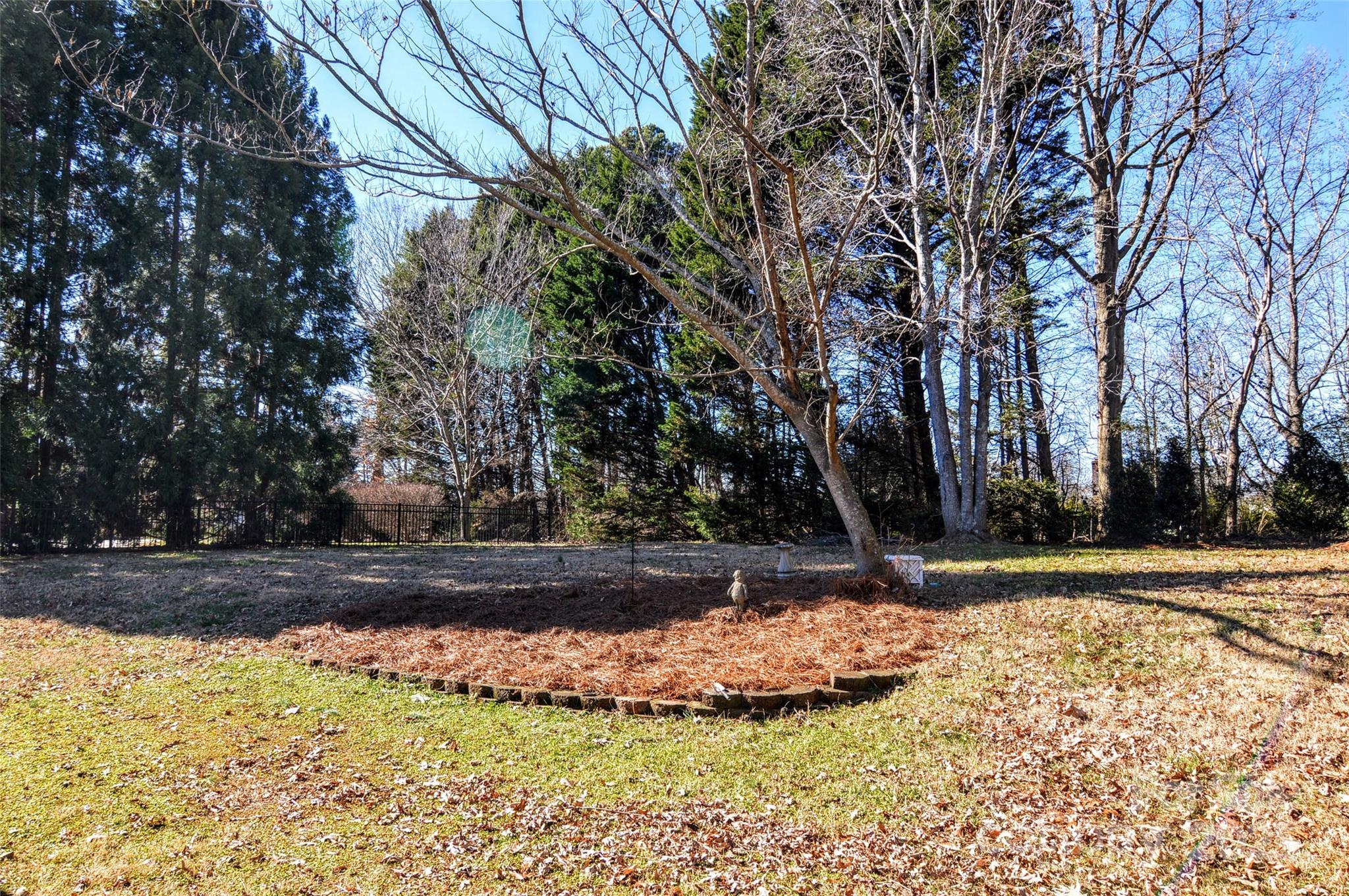 125 Eaglecrest Drive Matthews, NC 28104 - Photo 25 of 28 a view of a yard with an tree