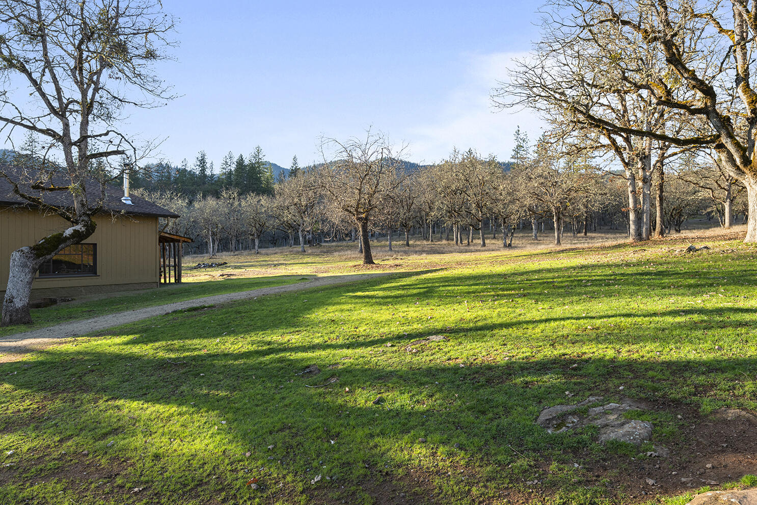 1052 Holcomb Springs Road Gold Hill, OR 97525 - Photo 26 of 65 Sloped Area with Open Grounds