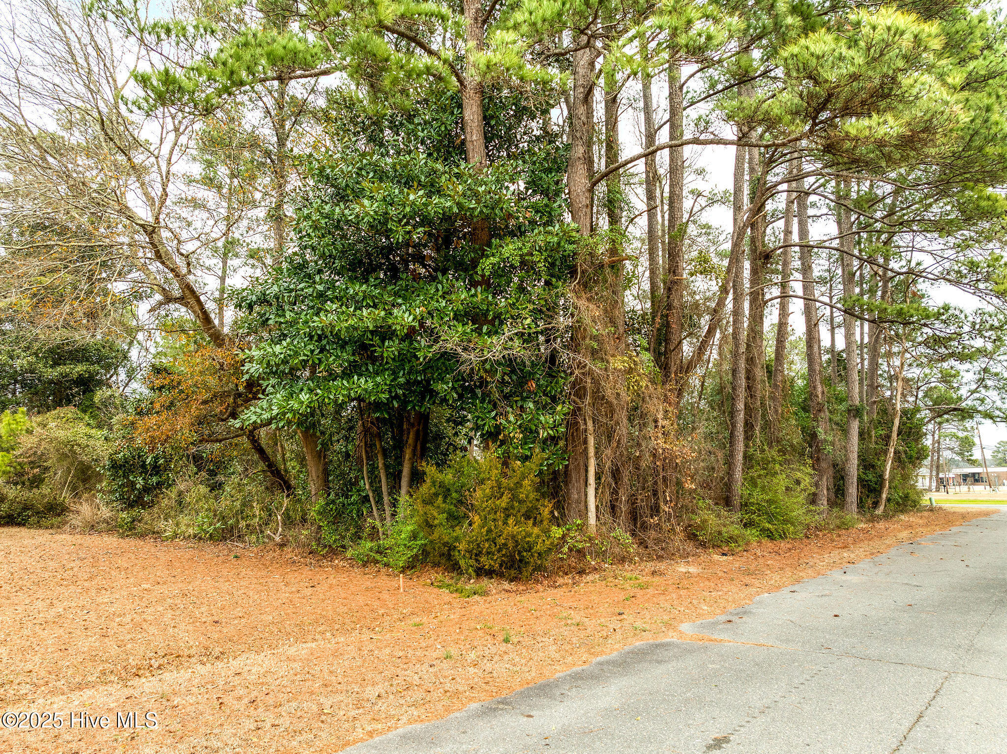 1 West Charity Road Rose Hill, NC 28458 - Photo 12 of 15 rosehilllot12