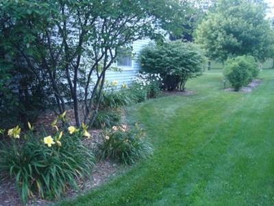 1808 Hatch Street Downers Grove, IL 60516 - Photo 19 of 20 a view of a lush green space