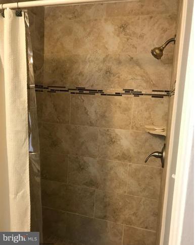 10805 Riverview Road Fort Washington, MD 20744 - Photo 16 of 17 Bath (Master)