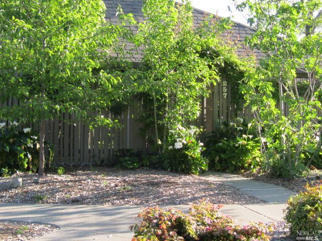 a view of a yard with plants and trees