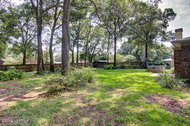 14090 Tontine Road Jacksonville, FL 32225 - Photo 19 of 21 Backyard