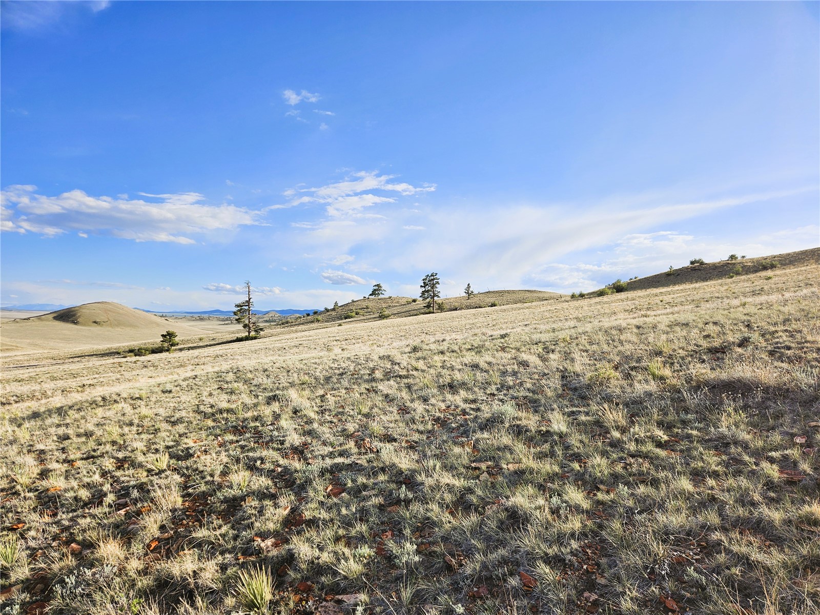 Pcs#24142 Antero Road Hartsel, CO 80449 - Photo 13 of 50