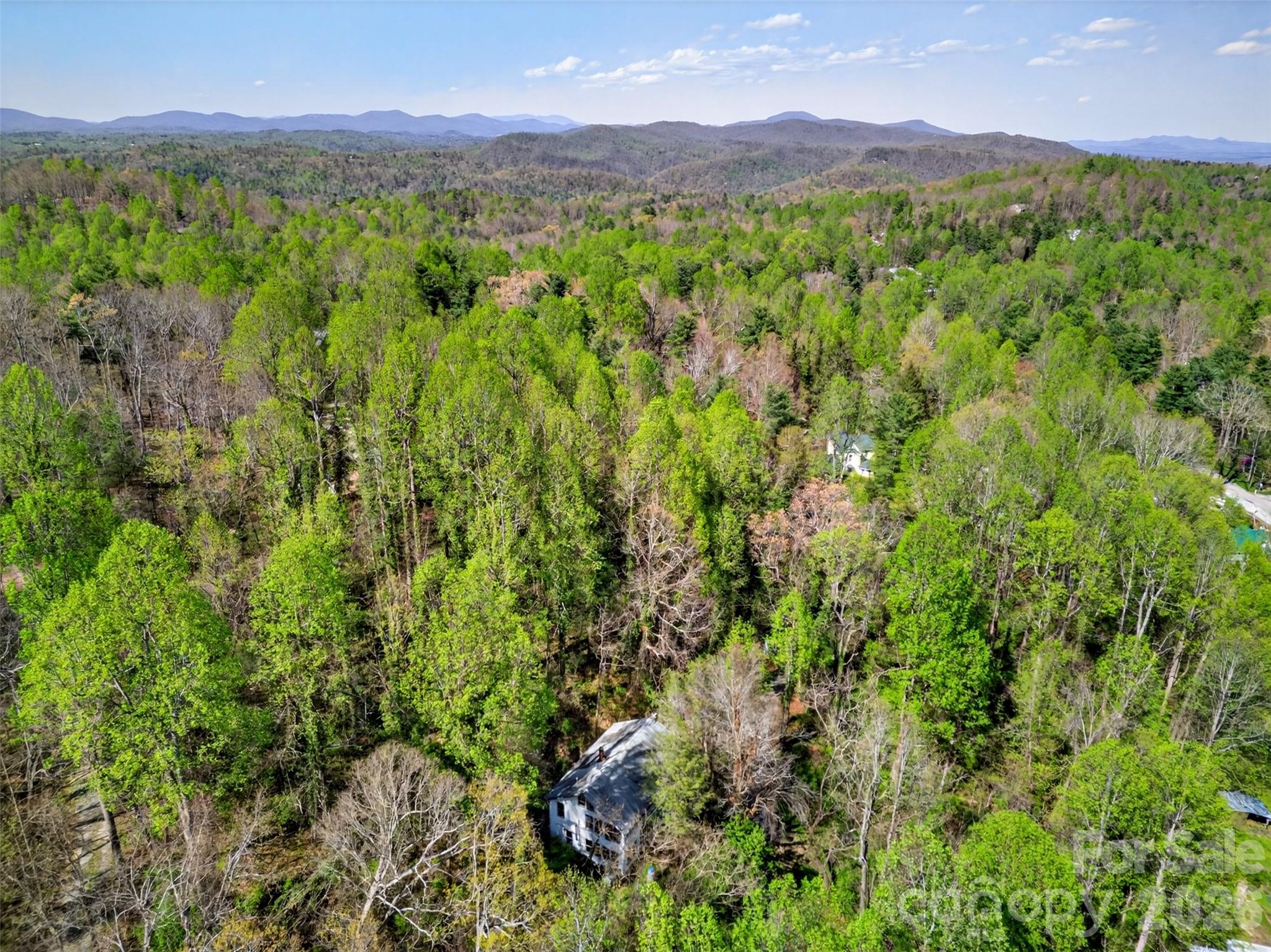 105 Poplar Street Saluda, NC 28773 - Photo 32 of 37 a view of a lush green hillside and a houses