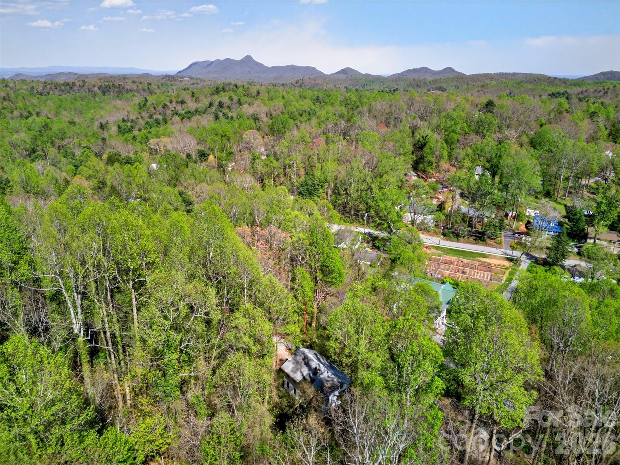 105 Poplar Street Saluda, NC 28773 - Photo 33 of 37 a view of a lush green forest with trees in the background