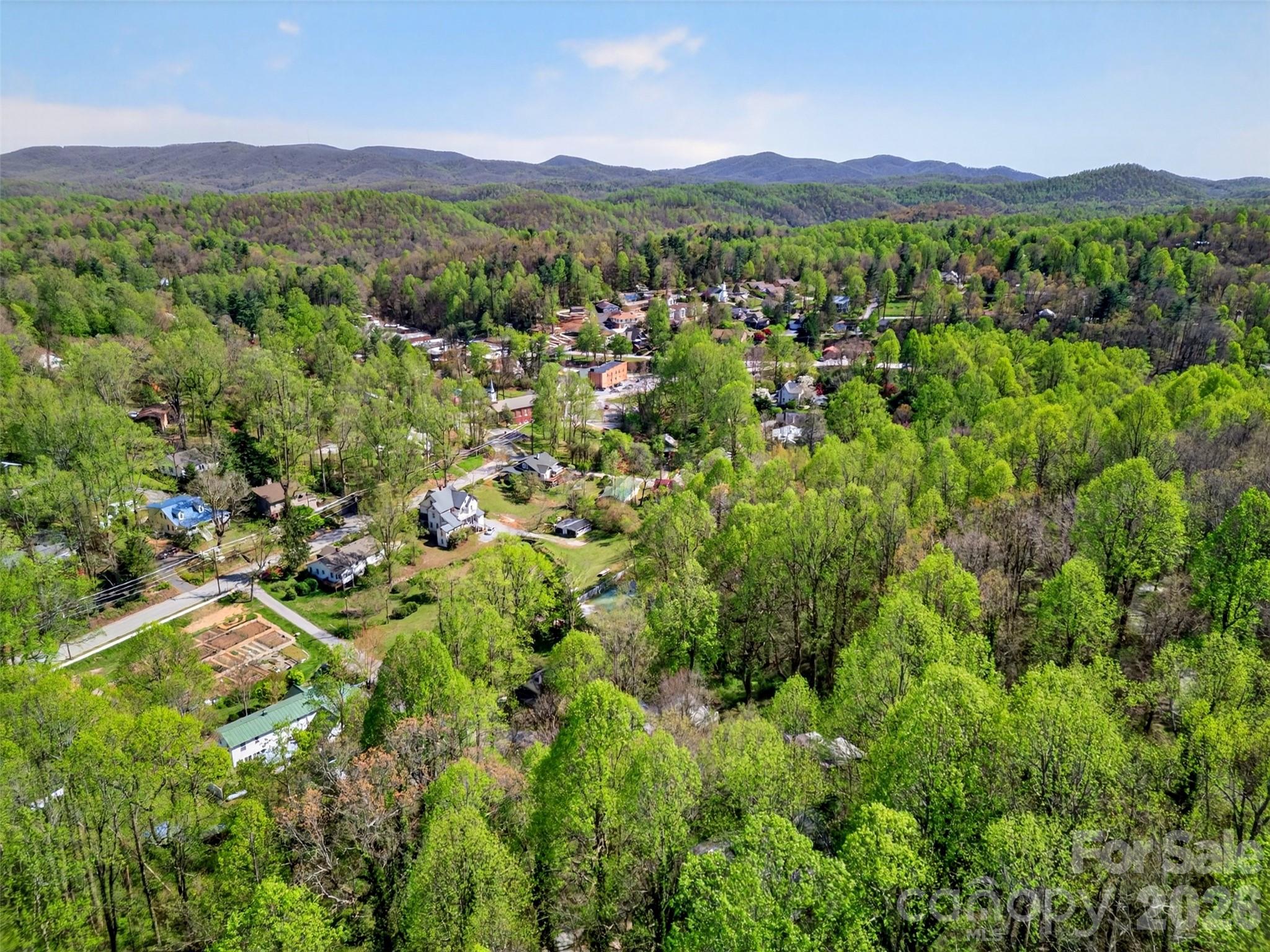 105 Poplar Street Saluda, NC 28773 - Photo 34 of 37 a view of a lush green hillside and houses