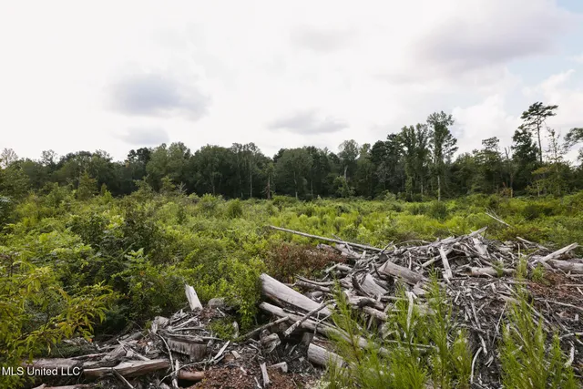 $225,000 | 2778 Big Creek Drive Southwest, Bogue Chitto, MS 39629