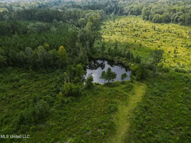 $225,000 | 2778 Big Creek Drive Southwest, Bogue Chitto, MS 39629