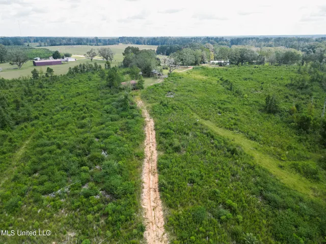 $225,000 | 2778 Big Creek Drive Southwest, Bogue Chitto, MS 39629