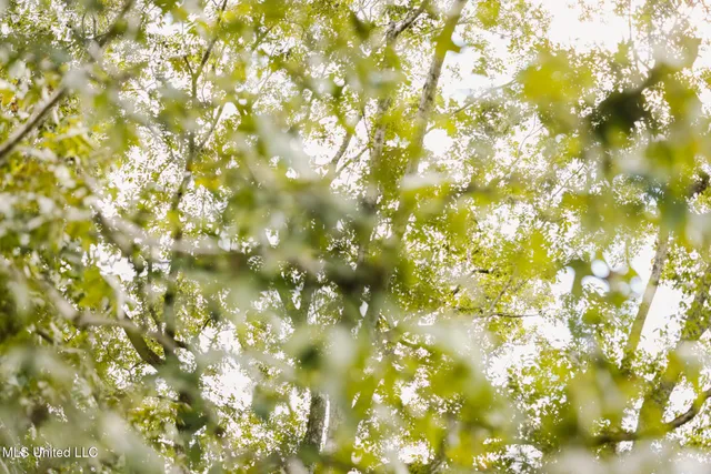 $225,000 | 2778 Big Creek Drive Southwest, Bogue Chitto, MS 39629