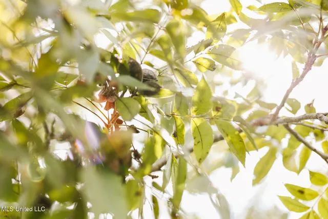 $225,000 | 2778 Big Creek Drive Southwest, Bogue Chitto, MS 39629