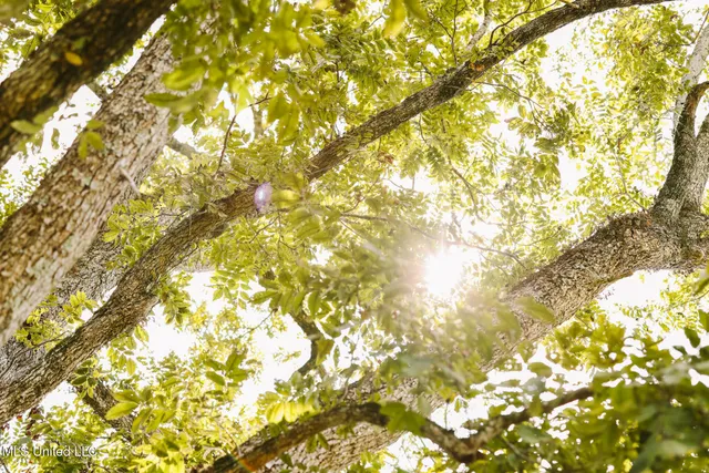 $225,000 | 2778 Big Creek Drive Southwest, Bogue Chitto, MS 39629