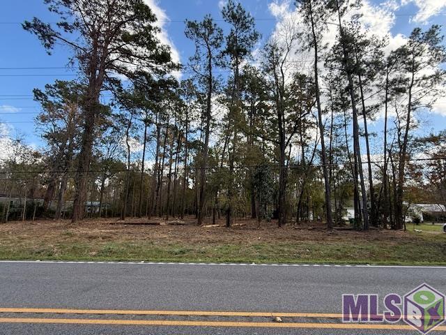 16 Denham Springs Denham Springs, LA 70726 - Photo 1 of 5 FRONT PART - UNDERBRUSH HAS BEEN CLEARED