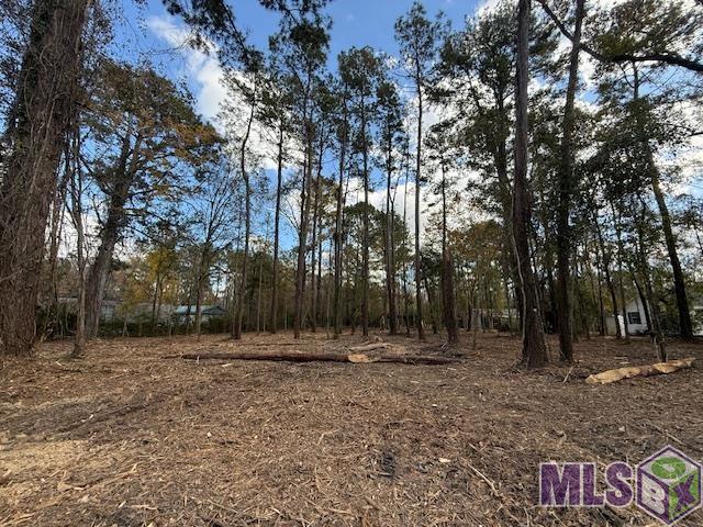 16 Denham Springs Denham Springs, LA 70726 - Photo 2 of 5