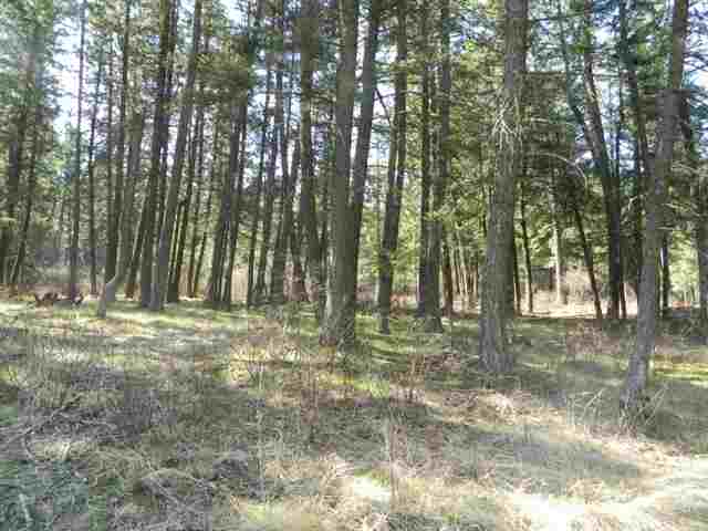 Xxx South Corkery Road Spokane, WA 99223 - Photo 4 of 11