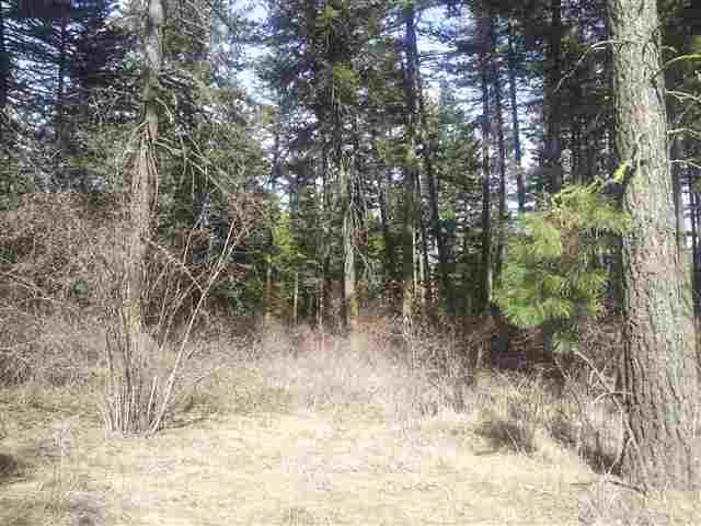 Xxx South Corkery Road Spokane, WA 99223 - Photo 5 of 11