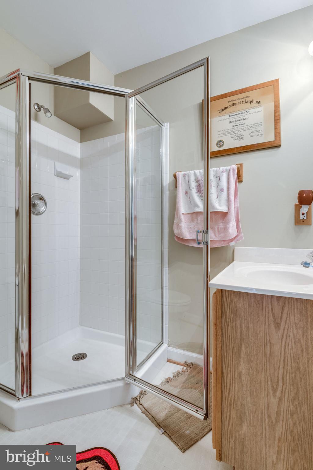 119 Rivanna Terrace Southwest Leesburg, VA 20175 - Photo 29 of 42 Gallery Image 29