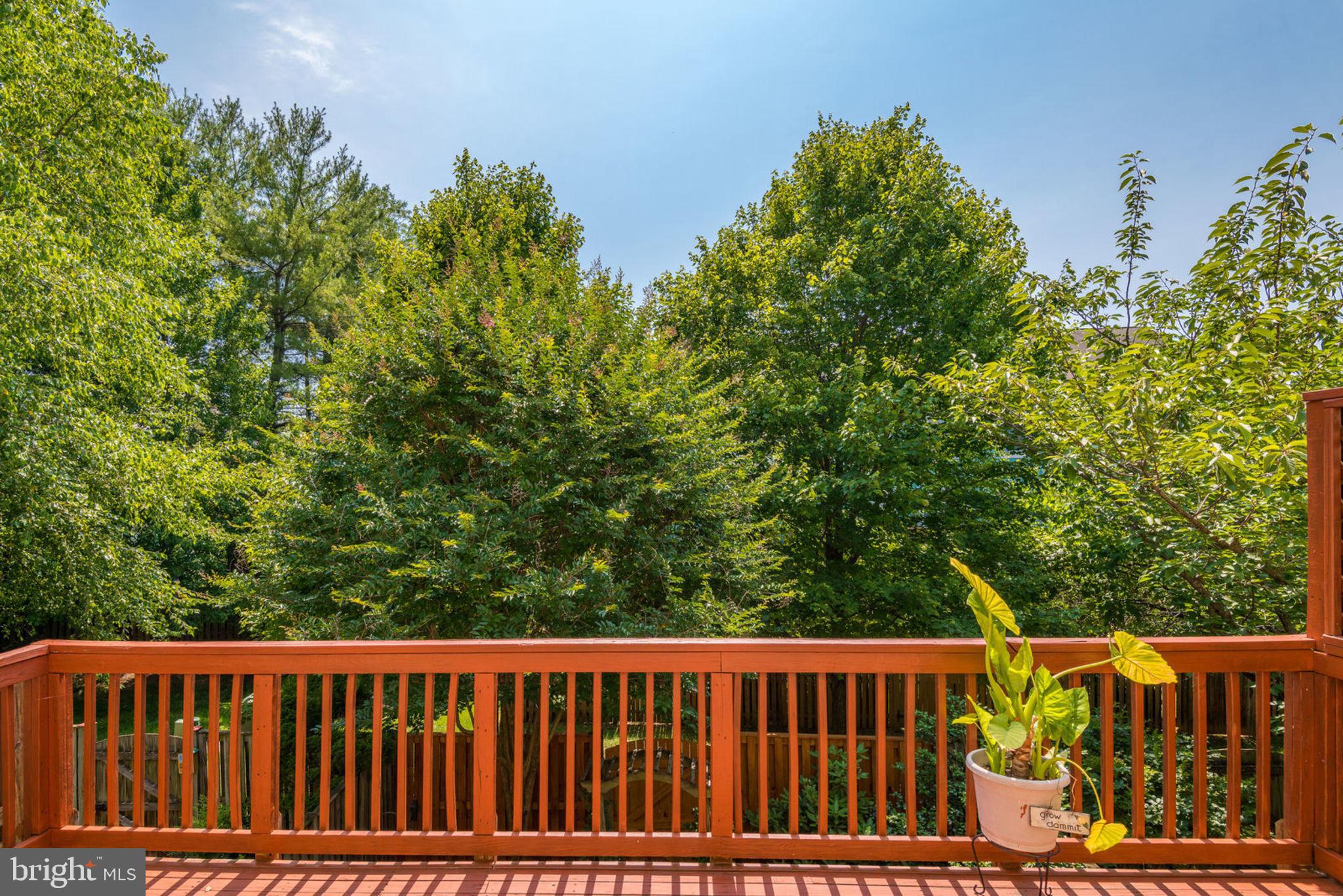 119 Rivanna Terrace Southwest Leesburg, VA 20175 - Photo 33 of 42 Gallery Image 33