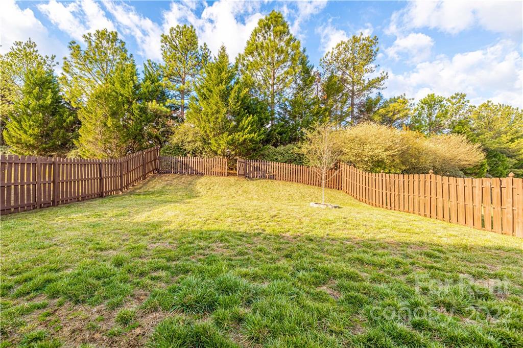 3329 Burnage Hall Road Harrisburg, NC 28075 - Photo 44 of 47 a view of a swimming pool with a backyard