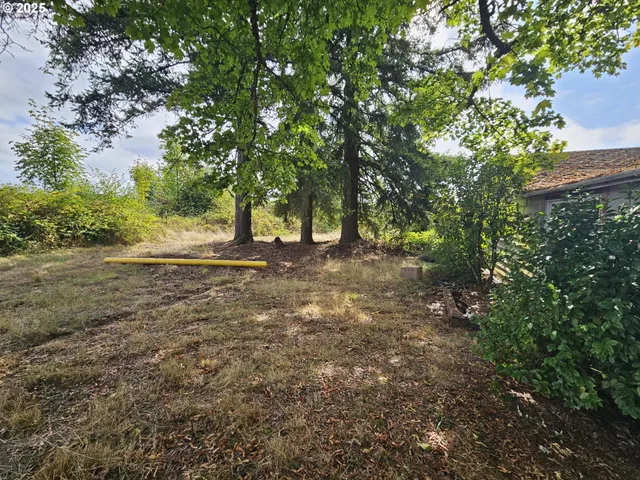 a view of dirt yard with a tree