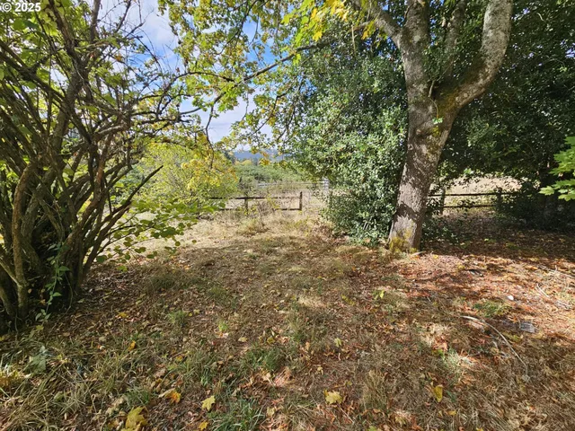 a view of a yard with plants and trees