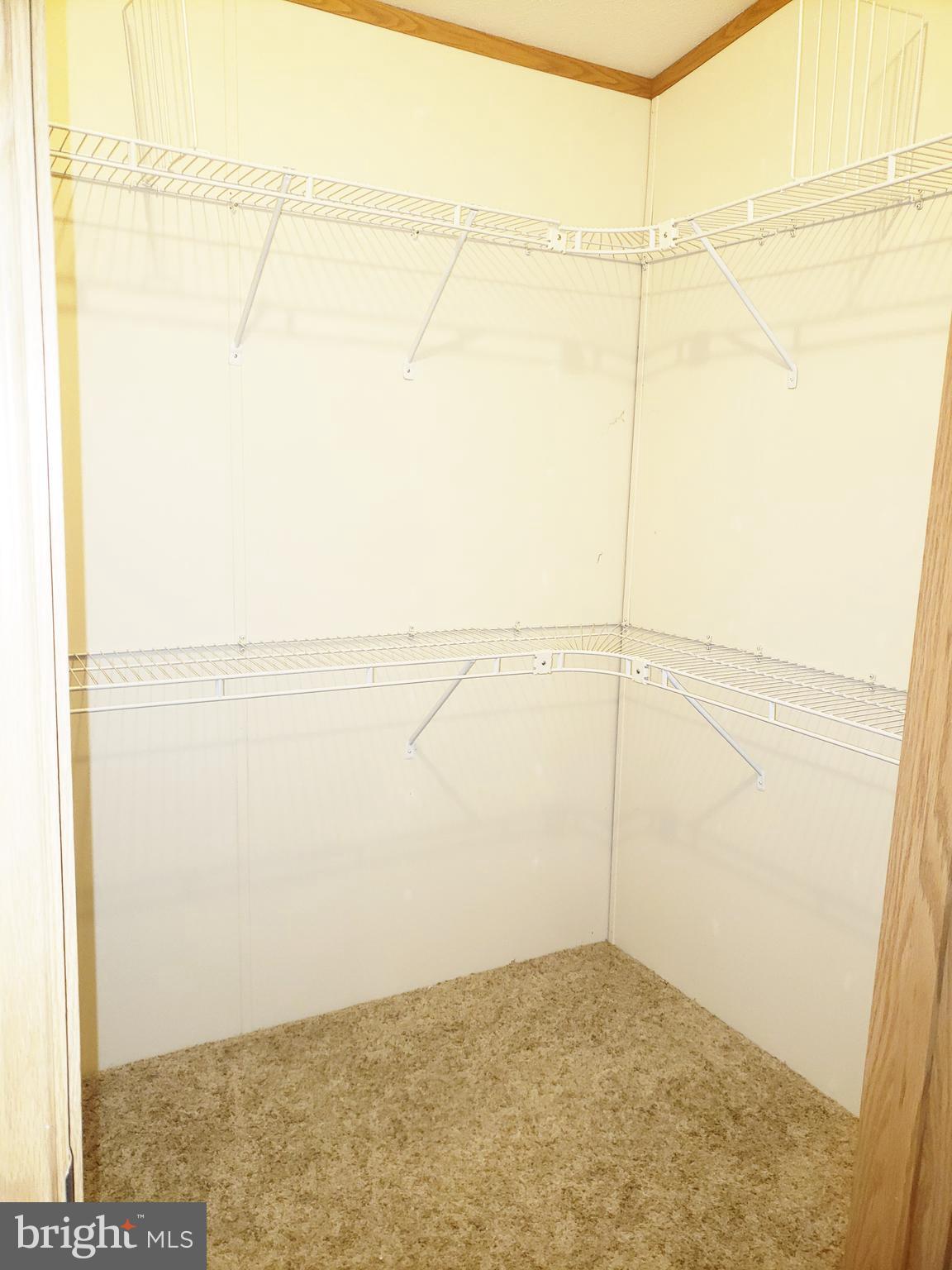 2 Fawn Way Elkton, MD 21921 - Photo 11 of 14 Walk in closet