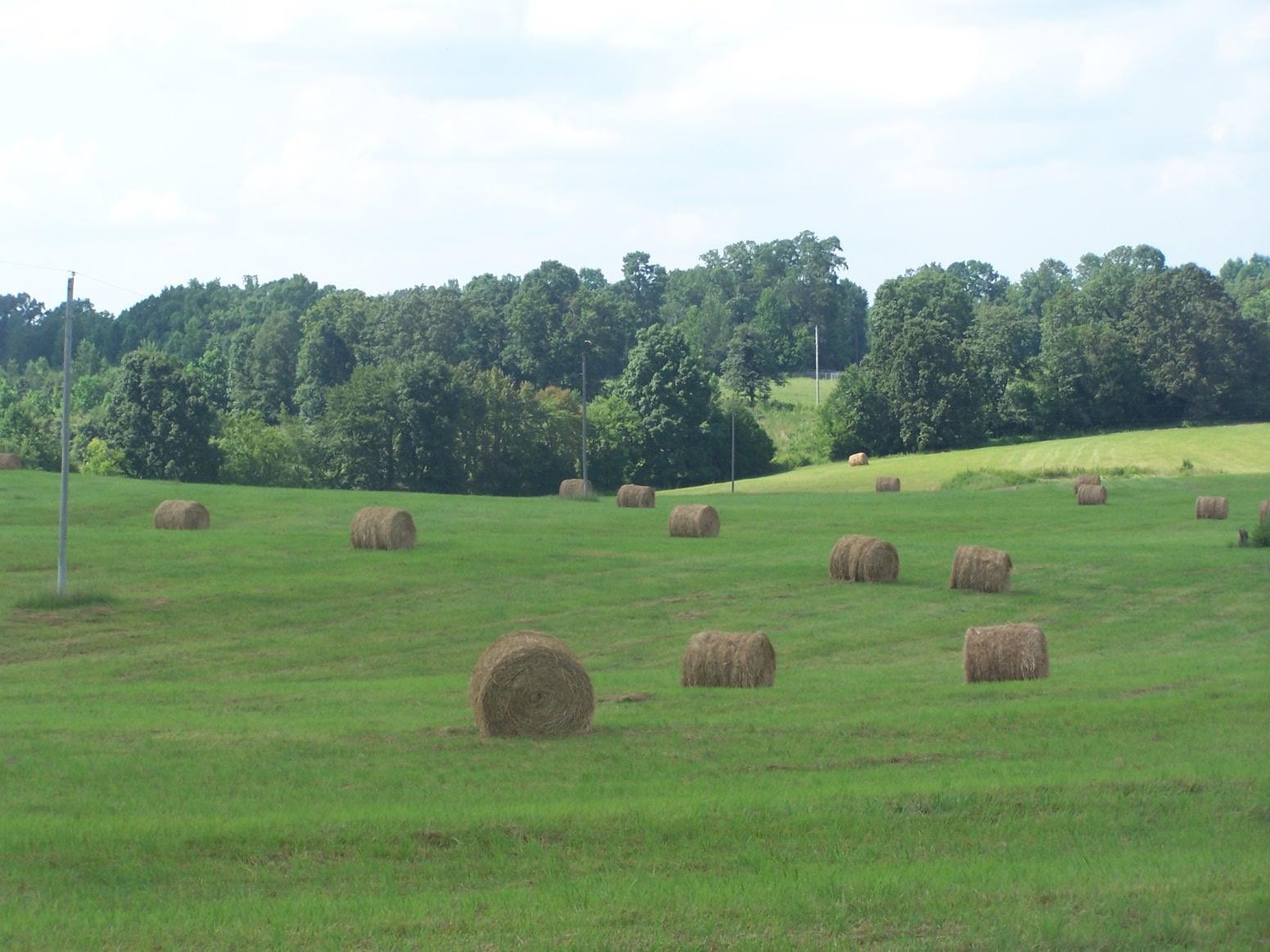 0 Paul Jackson Hollow Road Goodspring, TN 38460 - Photo 1 of 22 Gallery Image 1