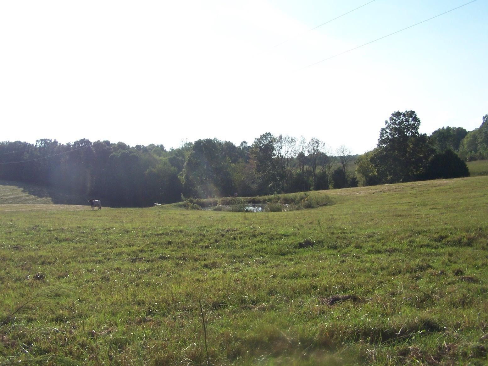 0 Paul Jackson Hollow Road Goodspring, TN 38460 - Photo 11 of 22 Gallery Image 11