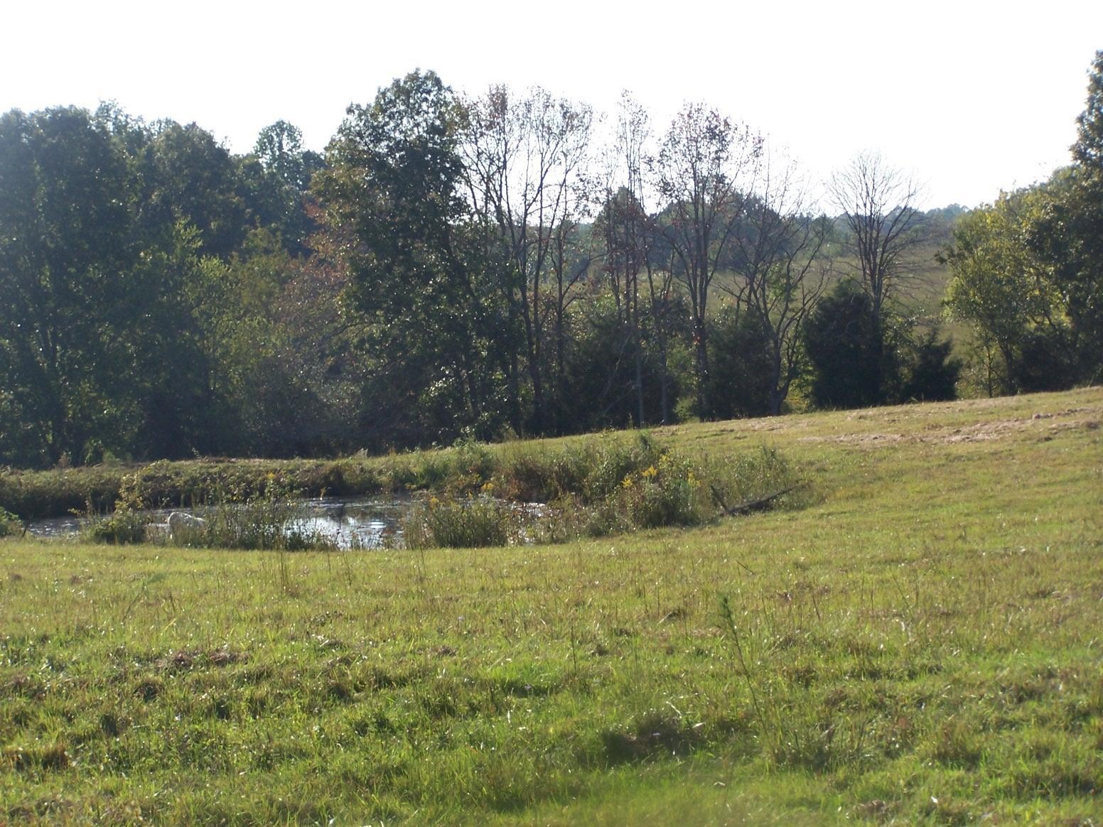 0 Paul Jackson Hollow Road Goodspring, TN 38460 - Photo 12 of 22 Gallery Image 12
