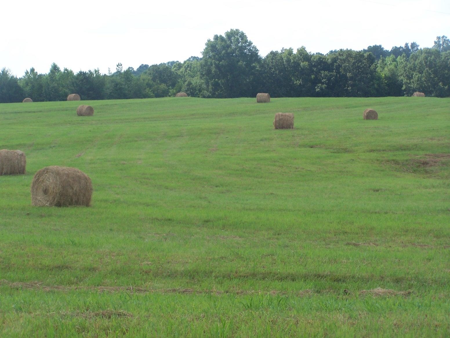 0 Paul Jackson Hollow Road Goodspring, TN 38460 - Photo 13 of 22 Gallery Image 13