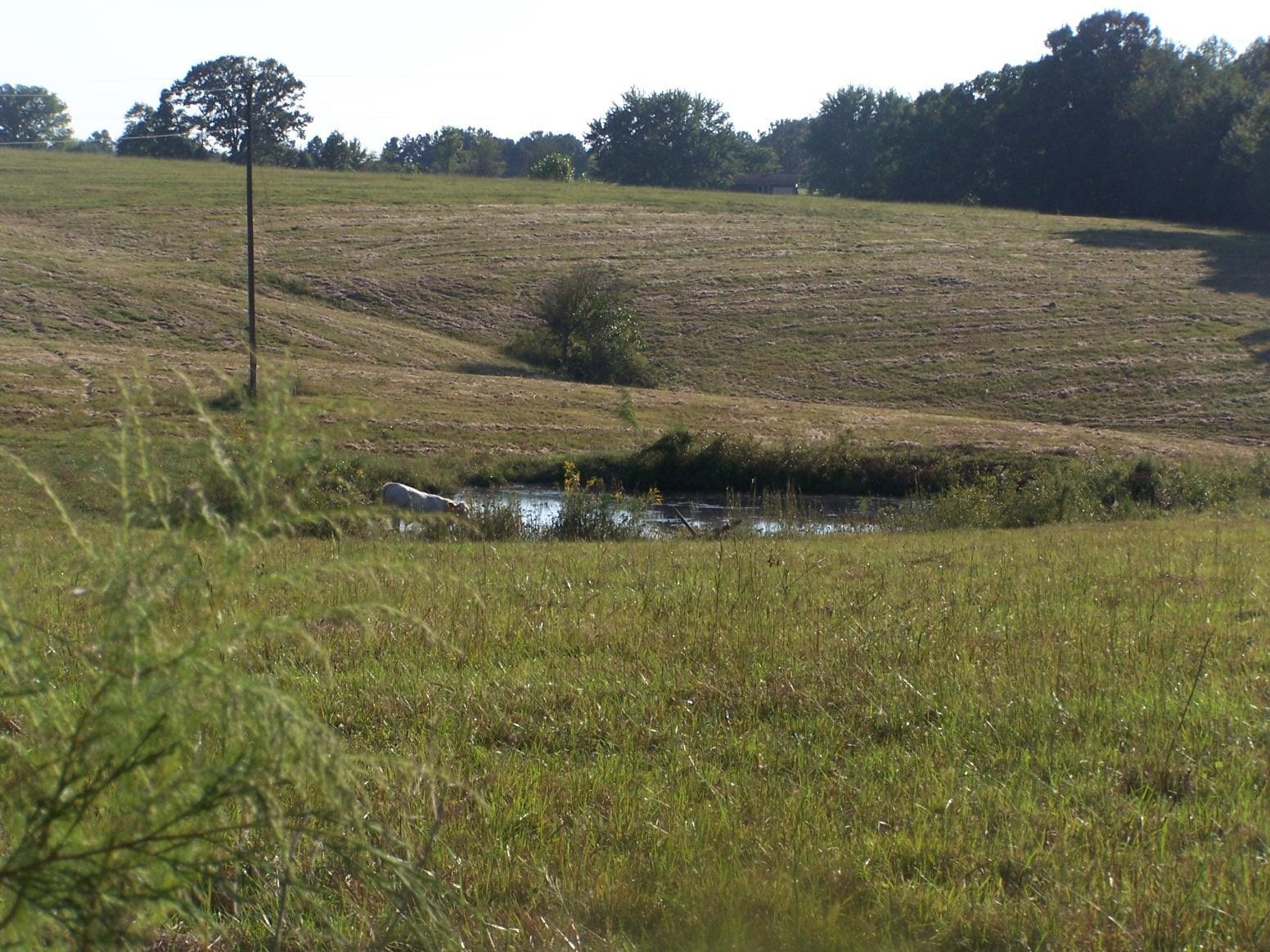 0 Paul Jackson Hollow Road Goodspring, TN 38460 - Photo 14 of 22 Gallery Image 14