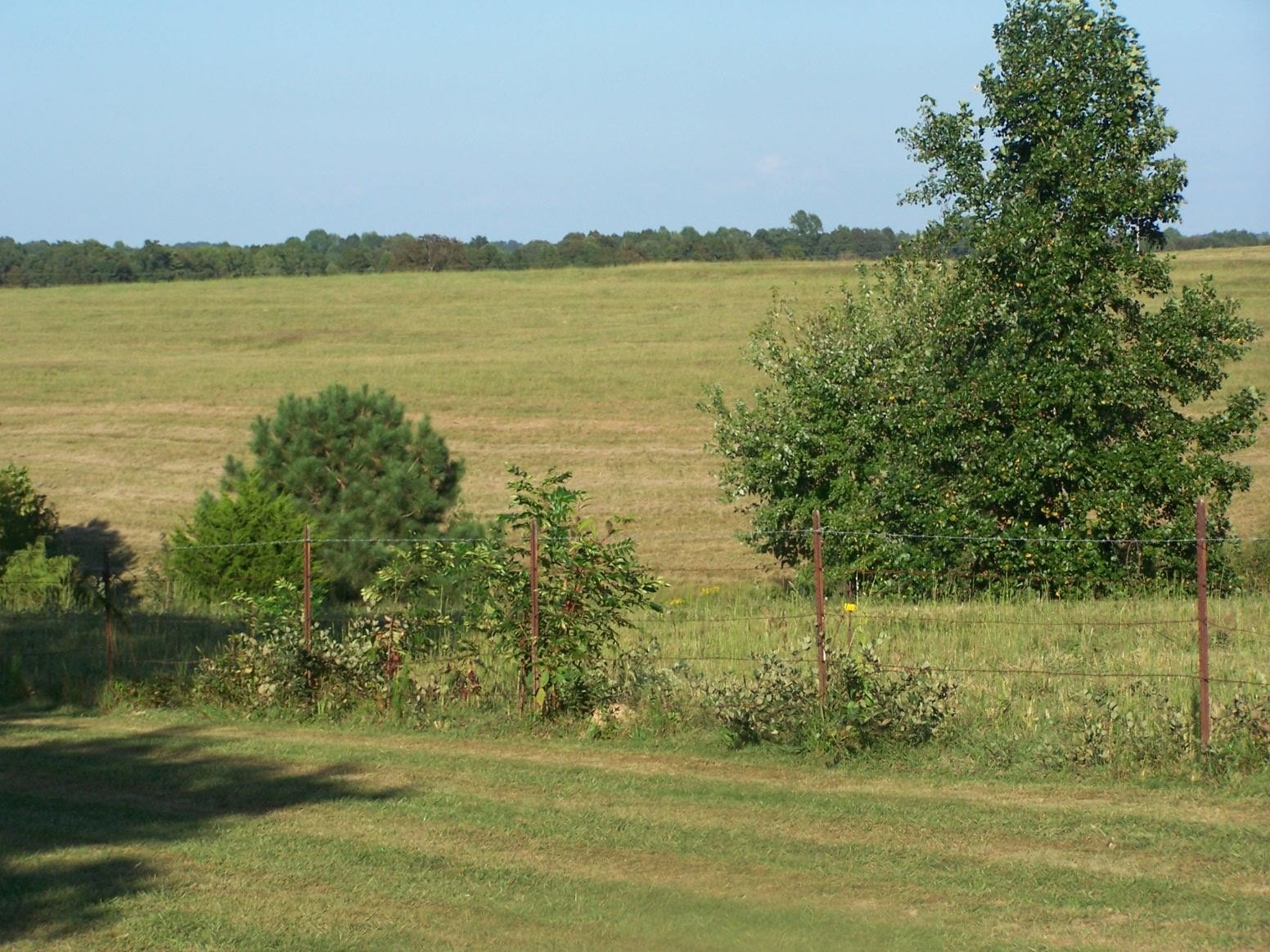 0 Paul Jackson Hollow Road Goodspring, TN 38460 - Photo 17 of 22 Gallery Image 17