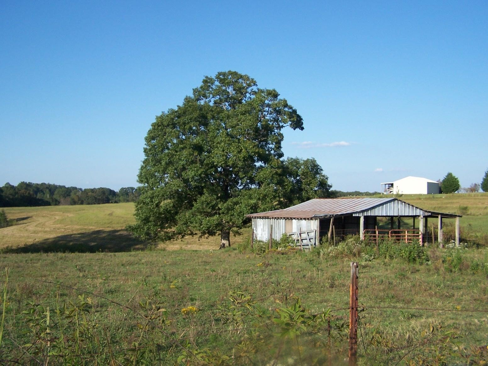 0 Paul Jackson Hollow Road Goodspring, TN 38460 - Photo 20 of 22 Gallery Image 20