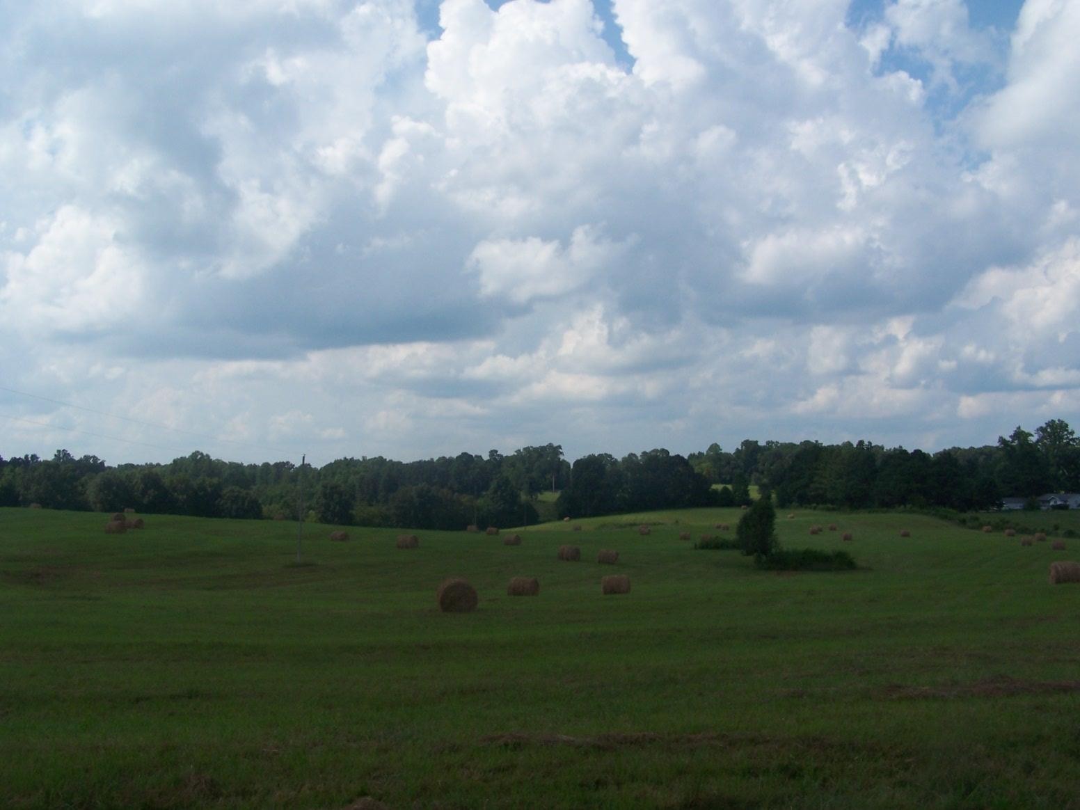 0 Paul Jackson Hollow Road Goodspring, TN 38460 - Photo 2 of 22 Gallery Image 2
