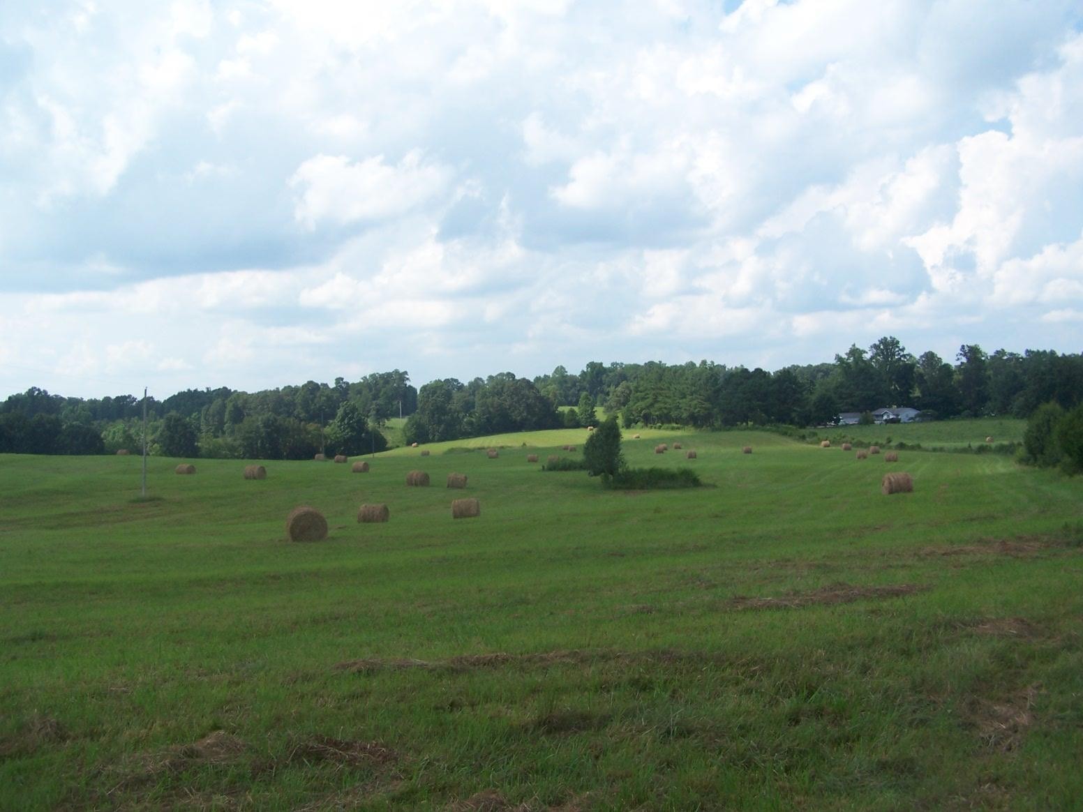 0 Paul Jackson Hollow Road Goodspring, TN 38460 - Photo 21 of 22 Gallery Image 21