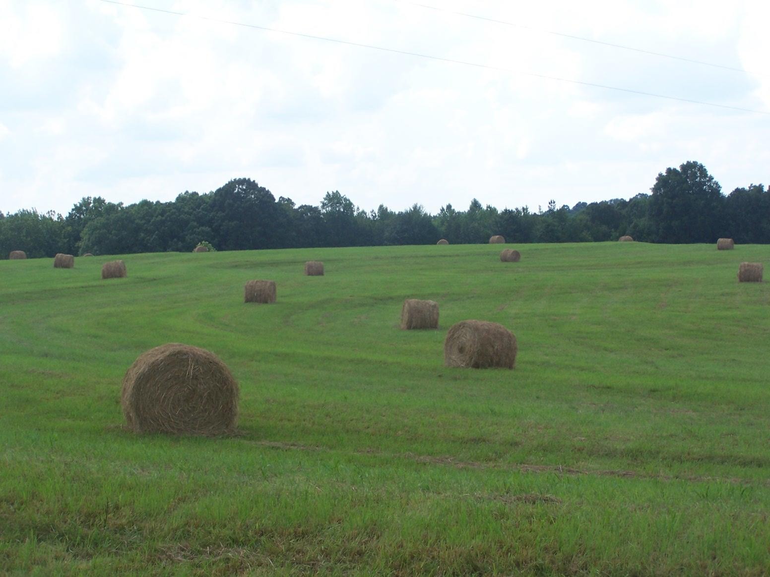 0 Paul Jackson Hollow Road Goodspring, TN 38460 - Photo 22 of 22 Gallery Image 22