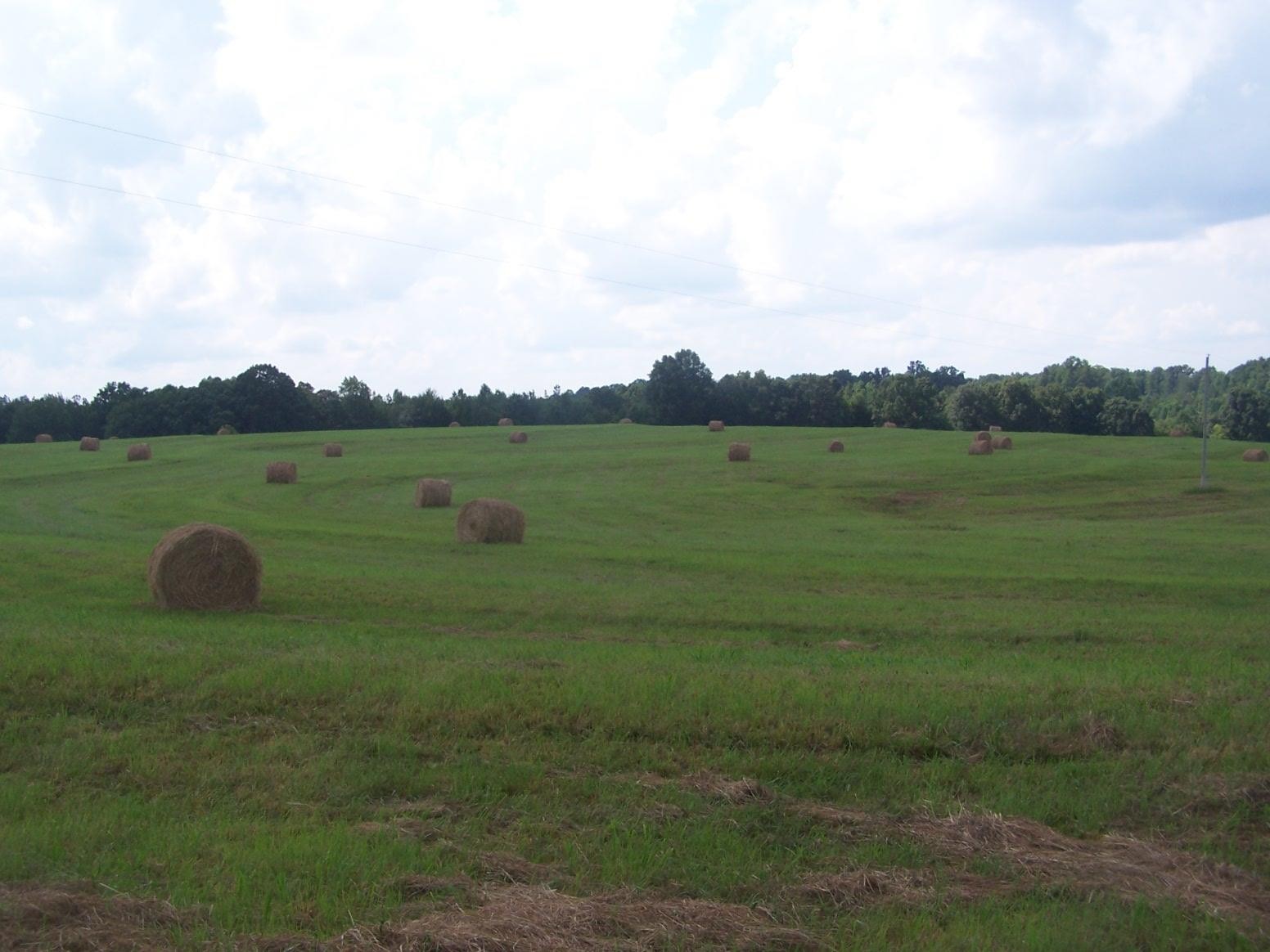 0 Paul Jackson Hollow Road Goodspring, TN 38460 - Photo 3 of 22 Gallery Image 3