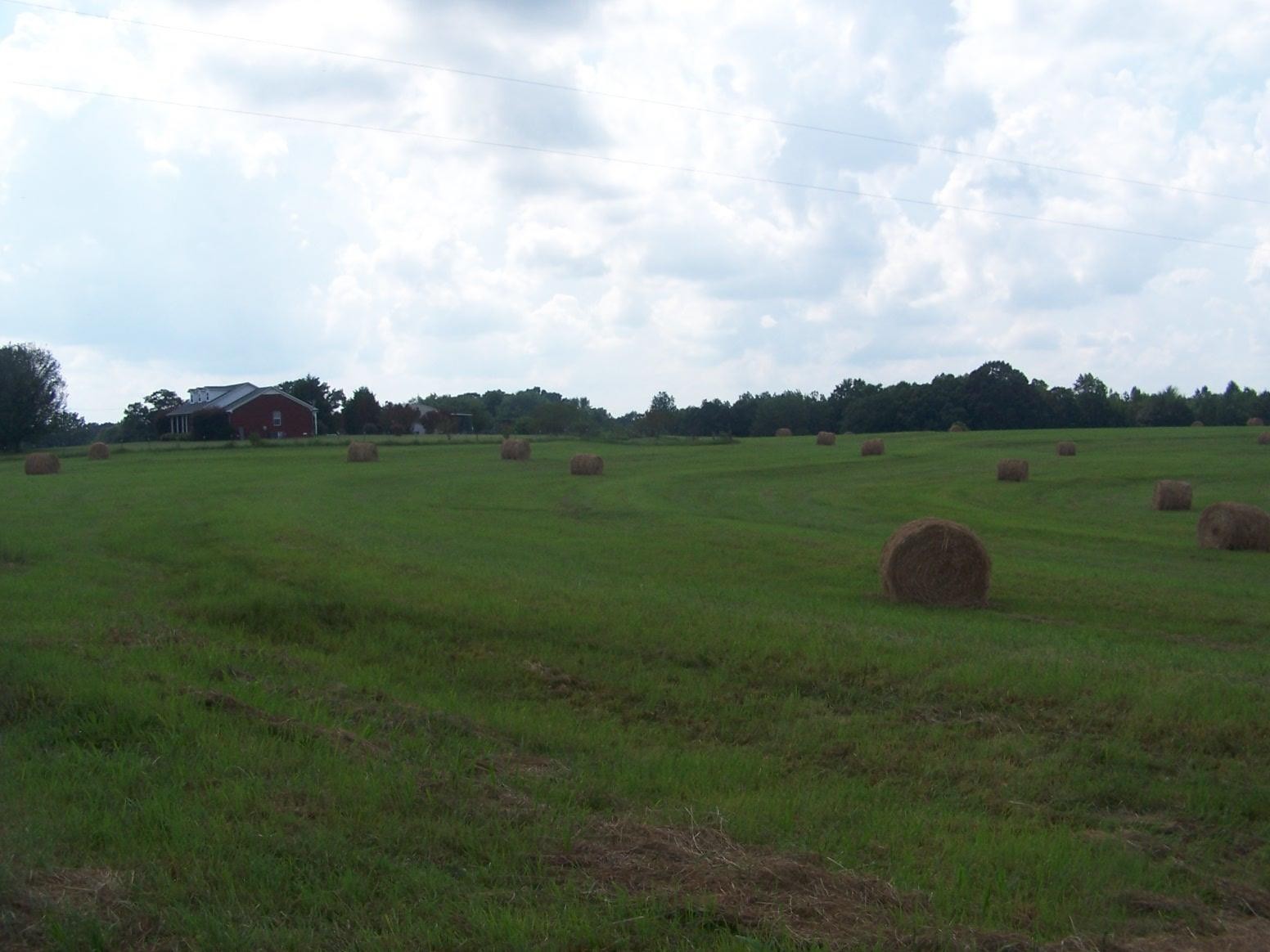 0 Paul Jackson Hollow Road Goodspring, TN 38460 - Photo 4 of 22 Gallery Image 4