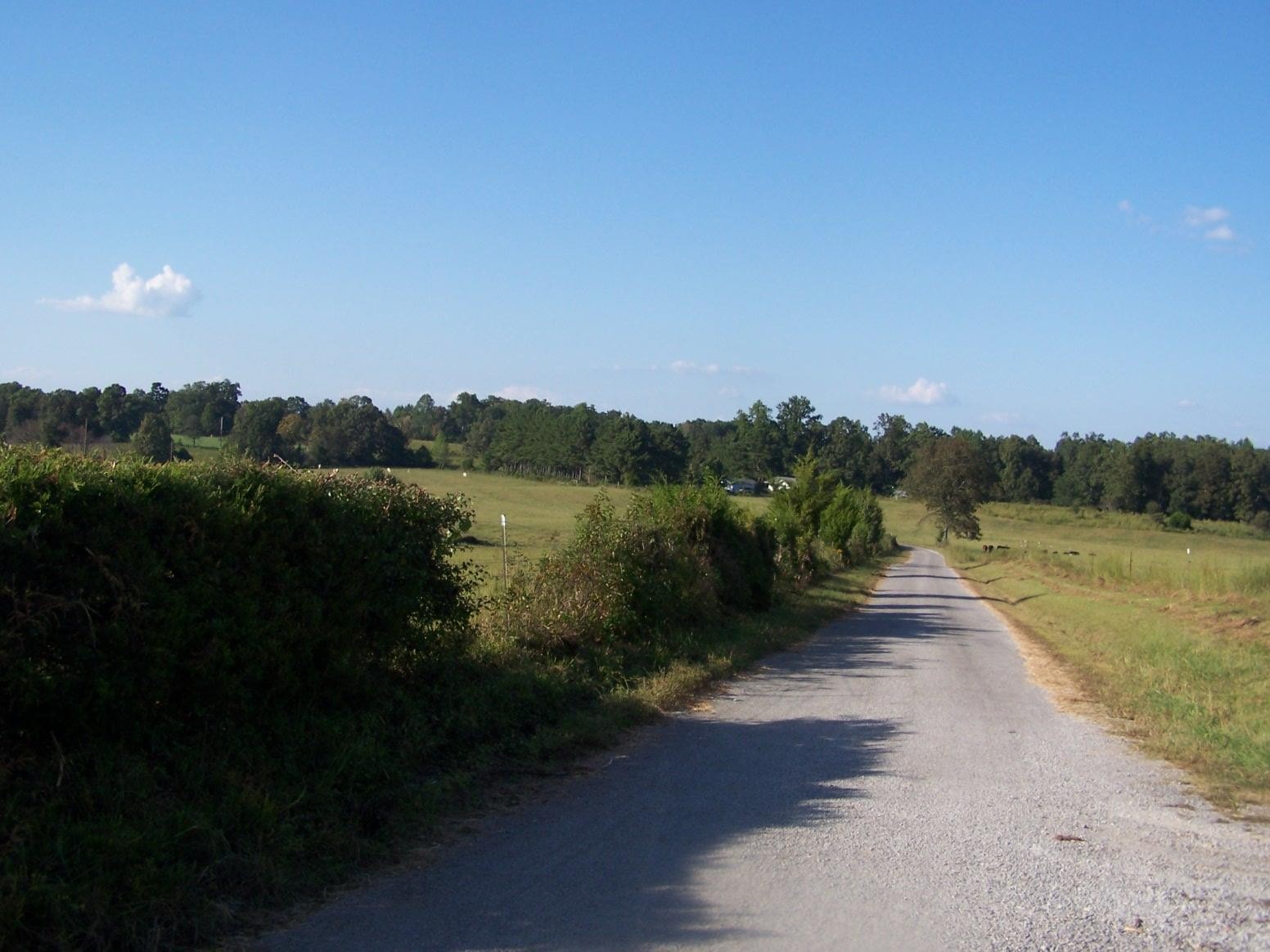 0 Paul Jackson Hollow Road Goodspring, TN 38460 - Photo 7 of 22 Gallery Image 7